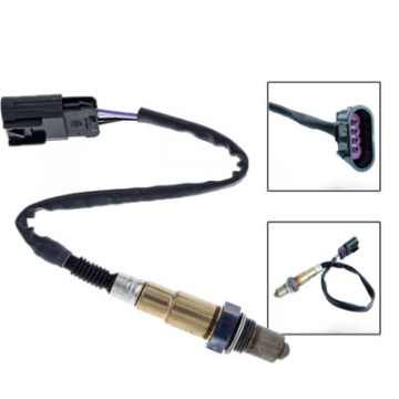 PictureAltAttribute - 2541823S-jpg